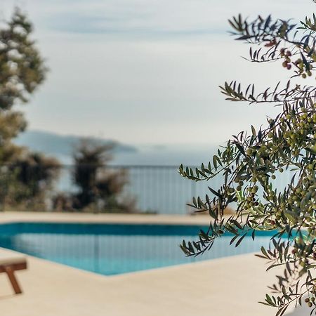 Villa Sladovic Herceg Novi Ngoại thất bức ảnh