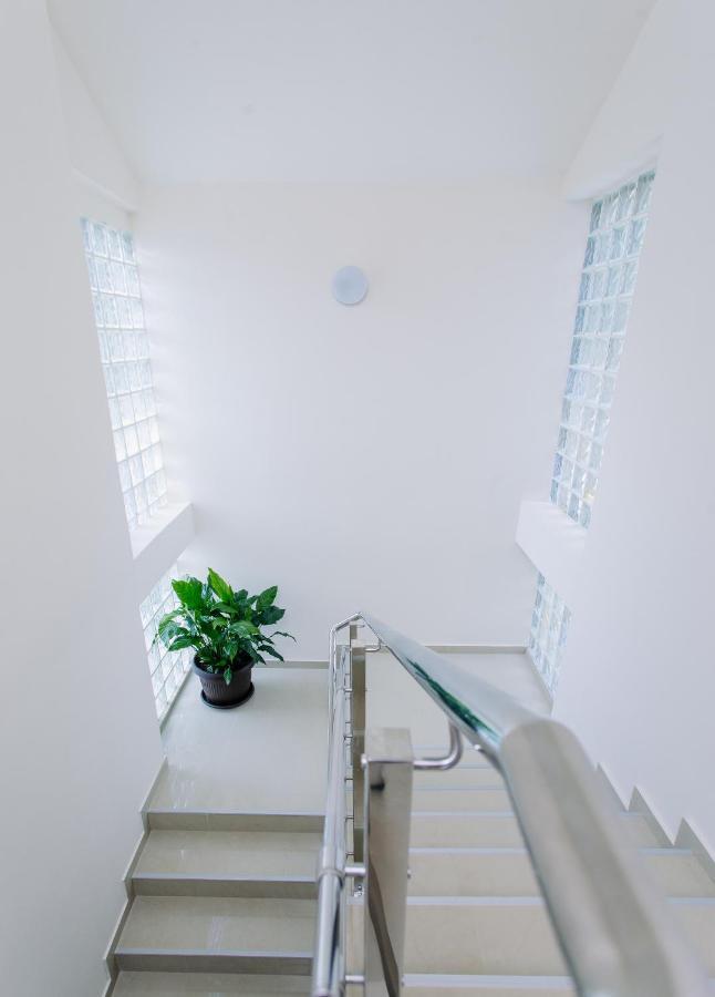 Villa Sladovic Herceg Novi Ngoại thất bức ảnh